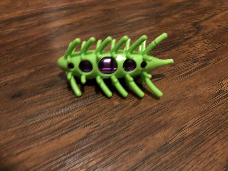 Wiggle bug sales cat toy