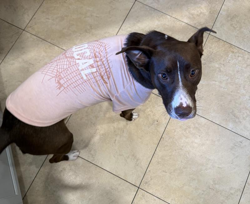 Rocking her shirt!