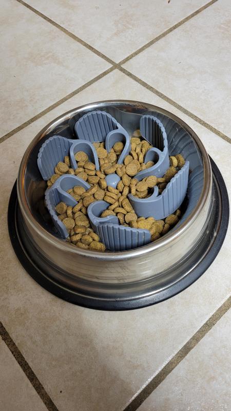 Bowl with fast eater insert
