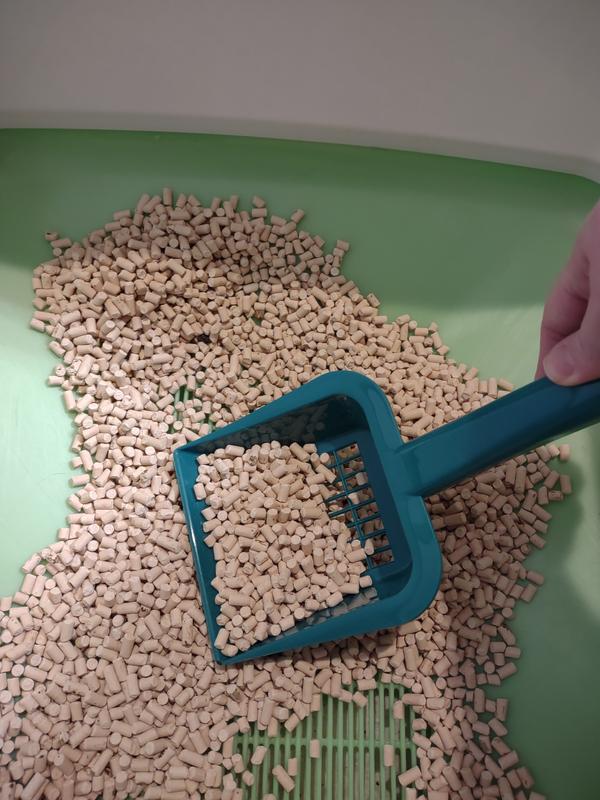 Scoop in action!