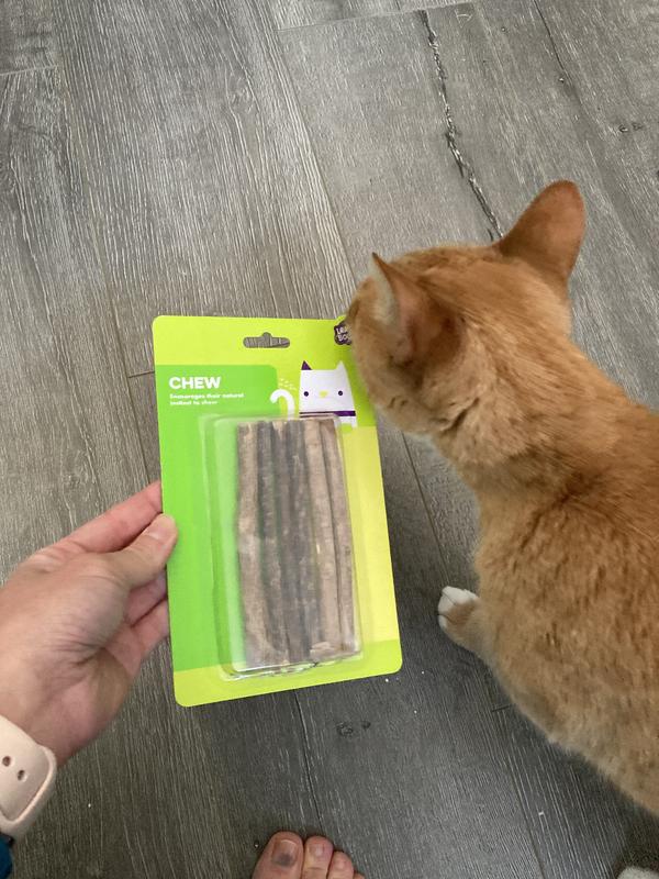 Cat enjoyed the packaging more than the product