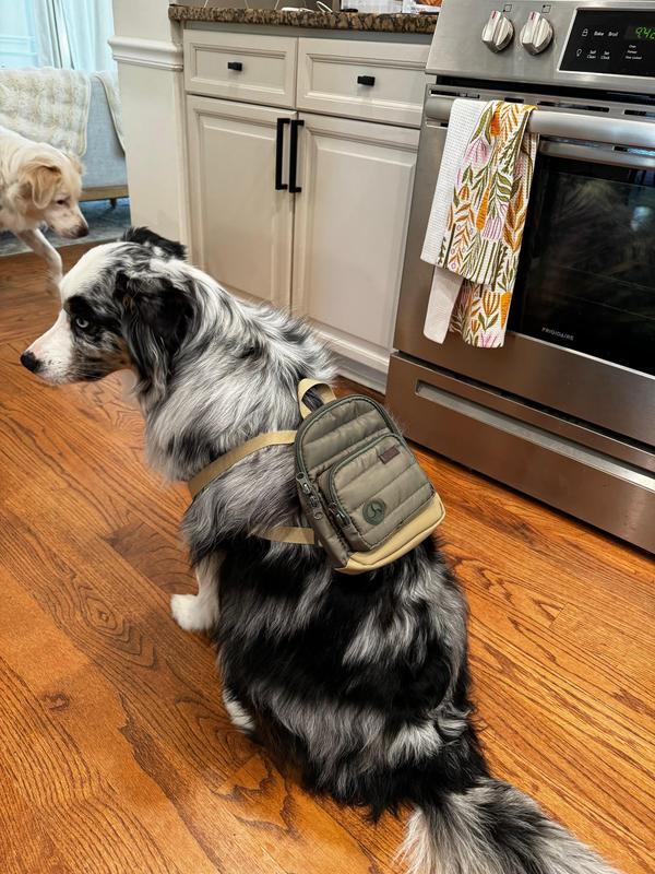 Reddy Olive Dog Backpack XS/Small for Essentials & Comfort