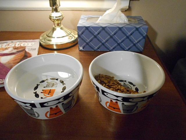 Milo's new Ceramic cutey bowls!