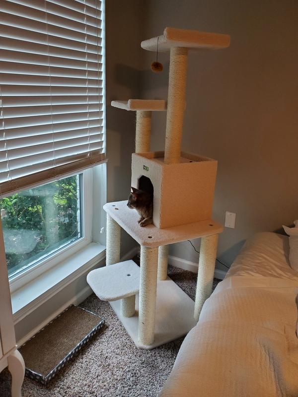 Armarkat Classic Model B6203 Real Wood Cat Tree, 62