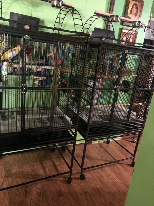 HQ Victorian Parrot Bird Cages 32x23