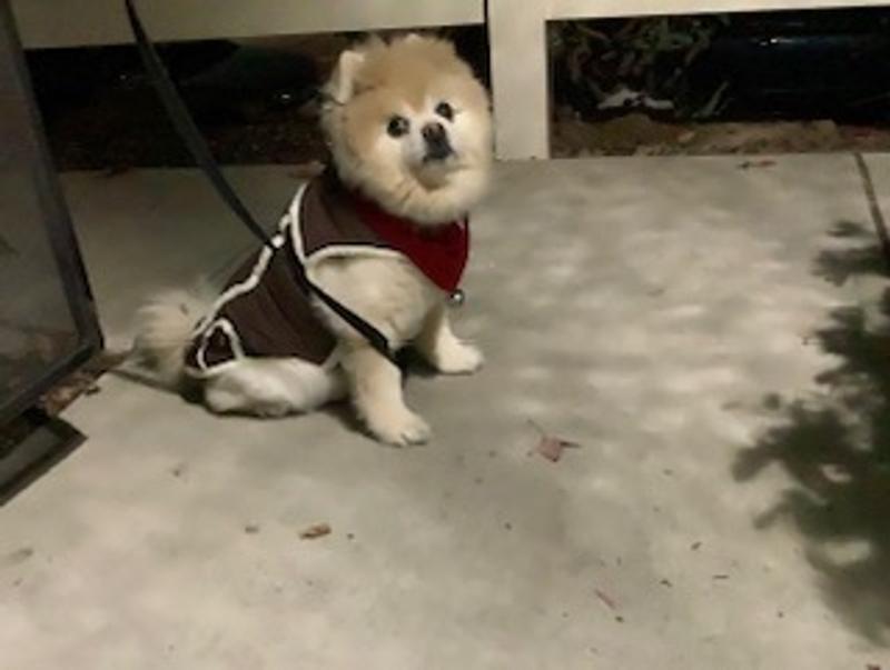 Let's walk!