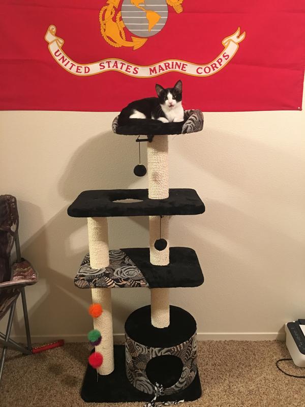 Midwest Cat Tree, Black, 50.5" H Petco