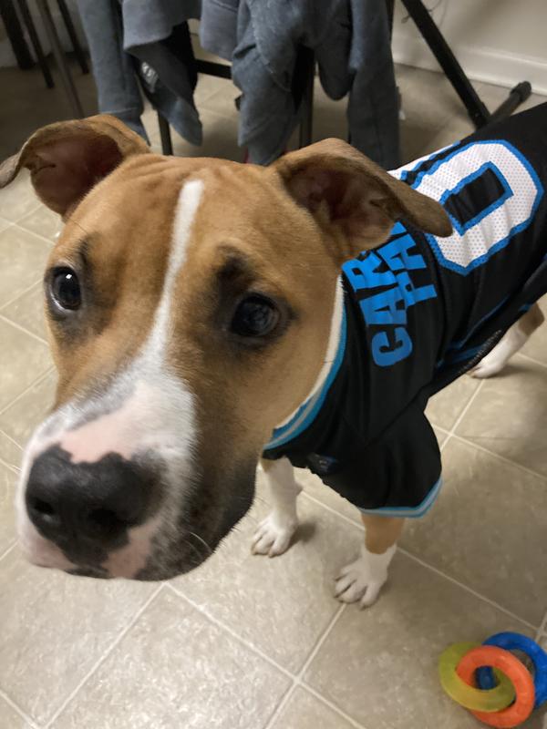 Carolina Panthers Dog Jersey Small