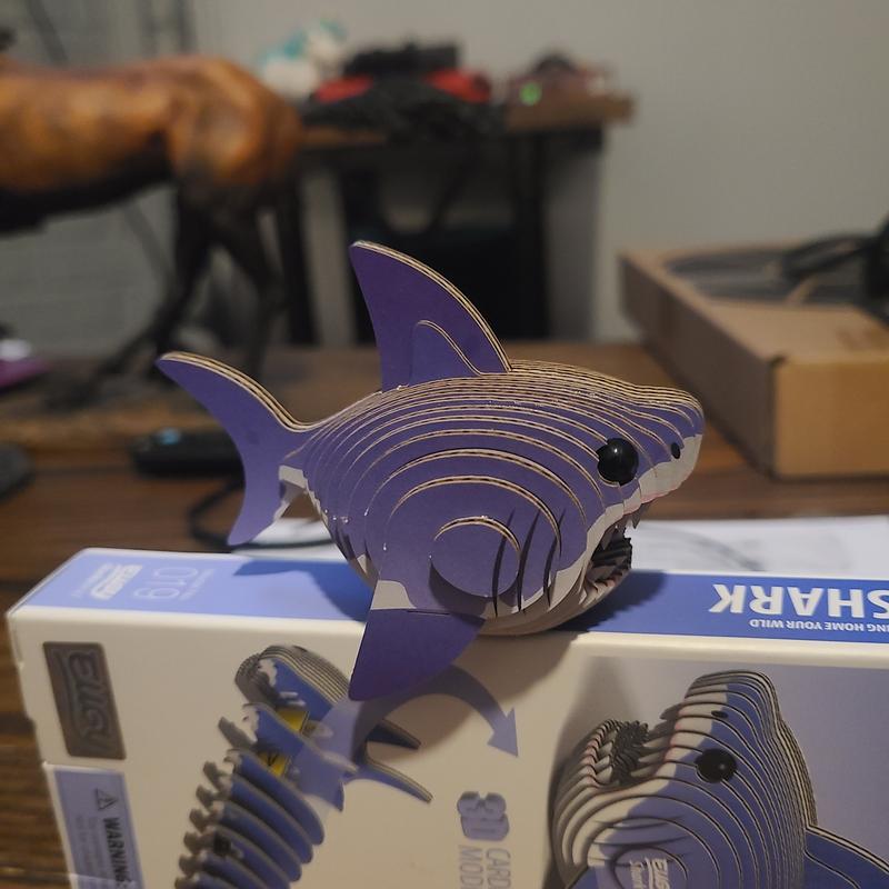 Shark