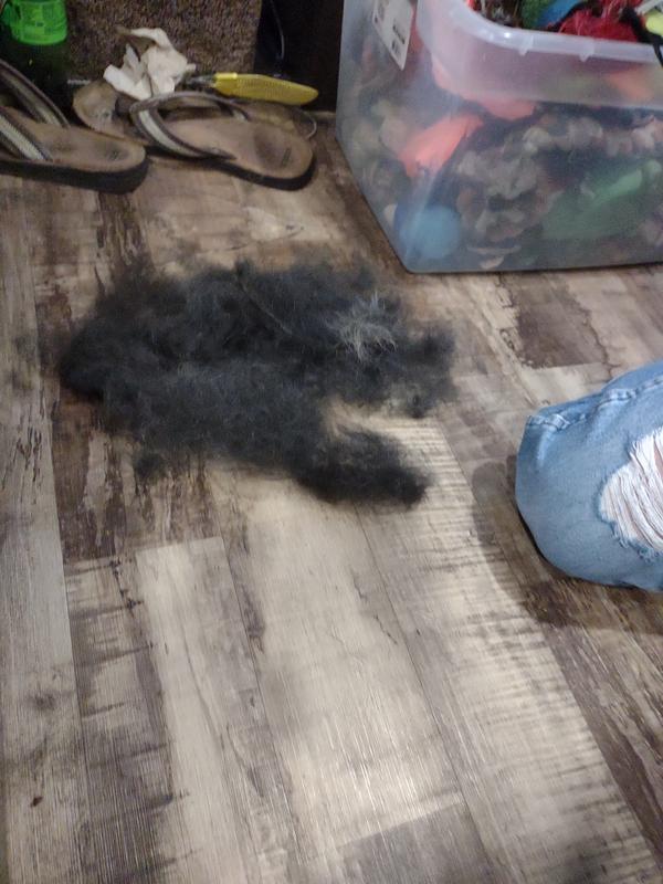 Some of the hair off our rottweiler