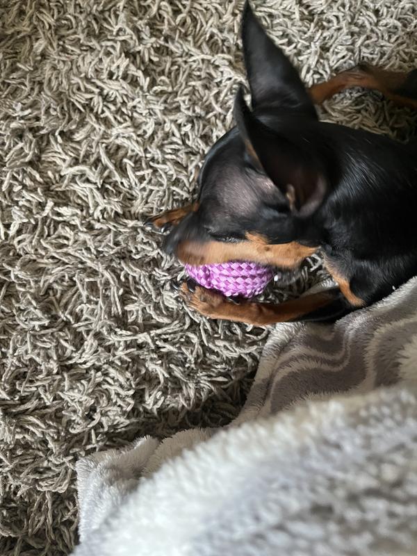 Enjoying his new toy!