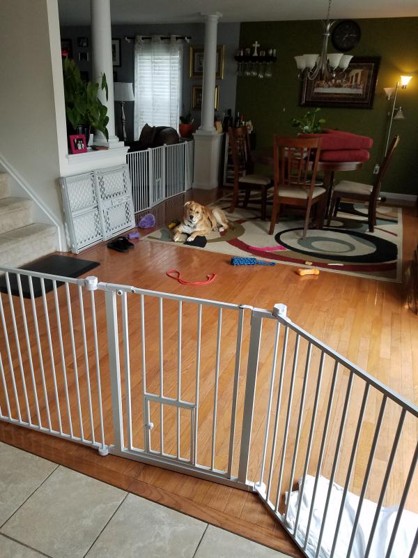 you and me convertible pet gate