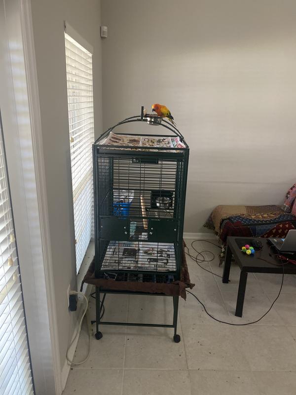 All living things skyscraper bird cage sale