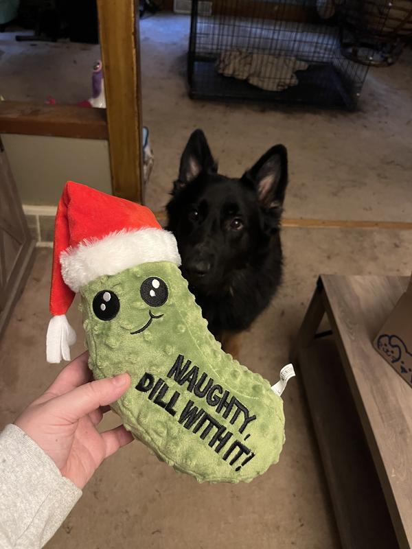 Petco christmas dog toys online