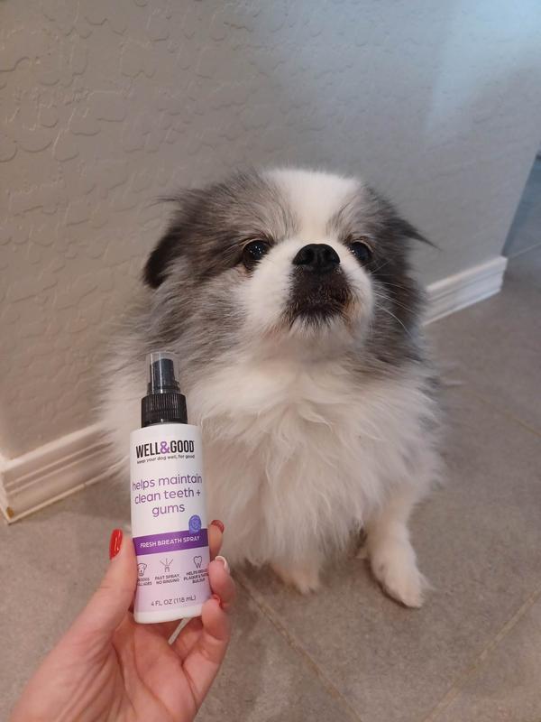 Best dog breath outlet spray