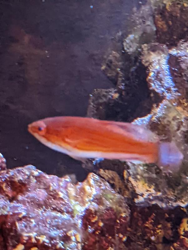 All the white dots were gone after just 4 days