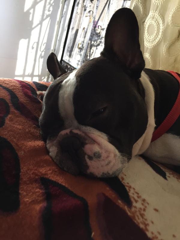 Franklin