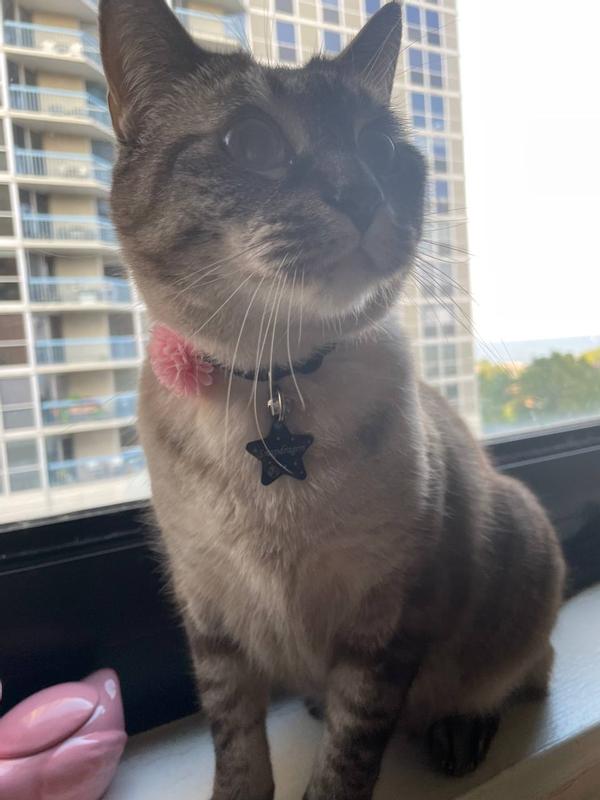 Darling boy with his little pink flower!!