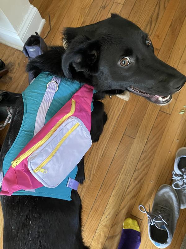 Uncertain, but adorable