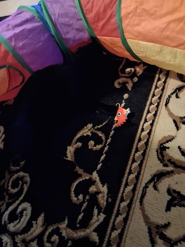 This is Raven with the Leaps and Bounds Finger-Style Squid toy.she is black and hard to see. But she loves this toy.