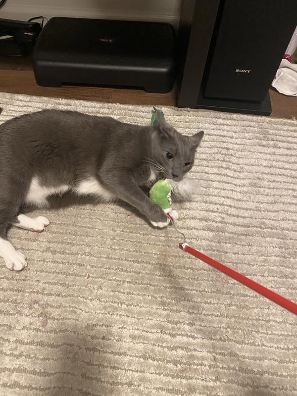 All mine!!!!!