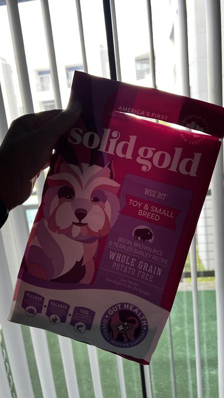 Wee Bit™ bison – solidgoldpets