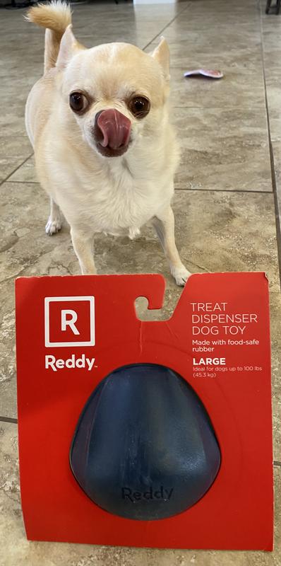 Reddy Blue Treat Dispensing Cat Toy