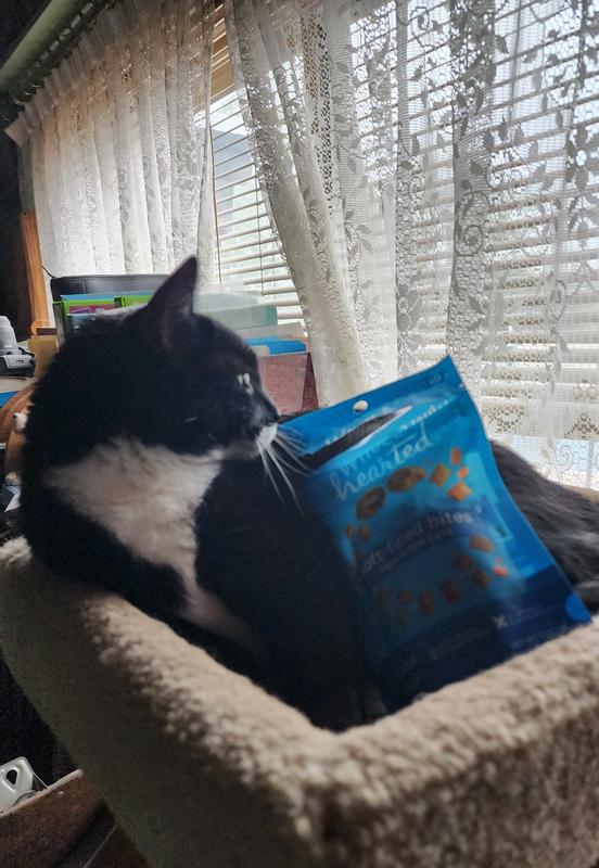Lue was not willing to be pictured trying the treats, but did allow a picture with the bag. Cats are funny animals.