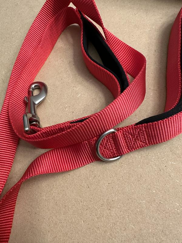 Youly Red Polyester/Nylon Dog Leash - YULY-3/8-ftX6-ft Lead RD -  Comfortable Grip - Suitable for Any Size Dog - Easily Clips to Collars or  Harnesses in the Pet Leashes department at