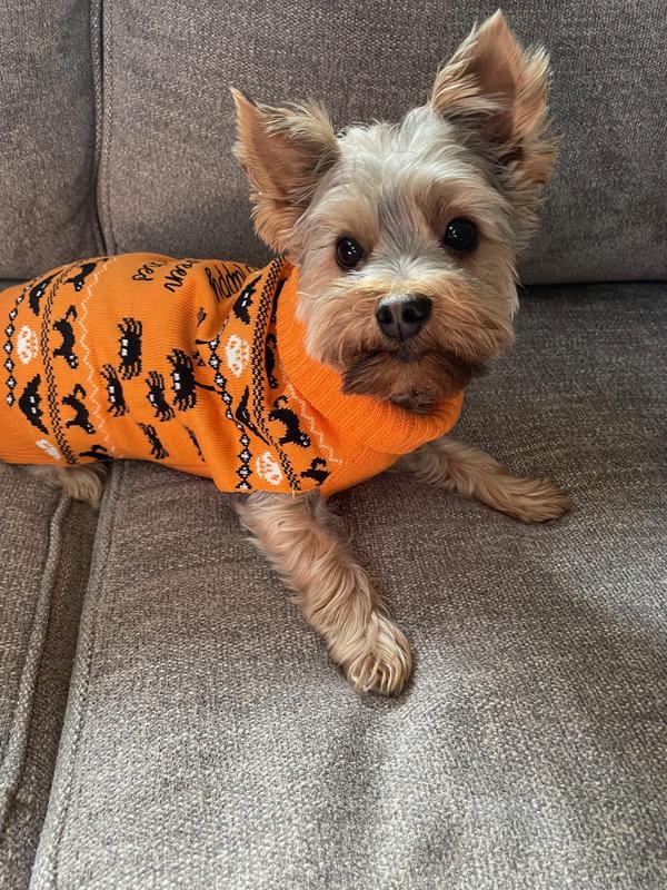 Bootique Witches Sweater for Dogs & Cats, XX-Small