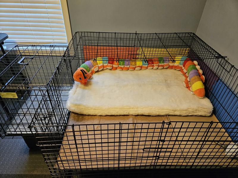 Midwest puppy playpen outlet with floor grid