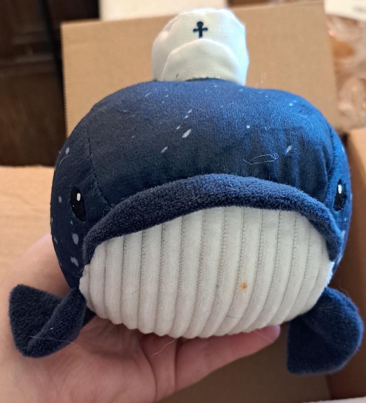 Cute little sailor whale!