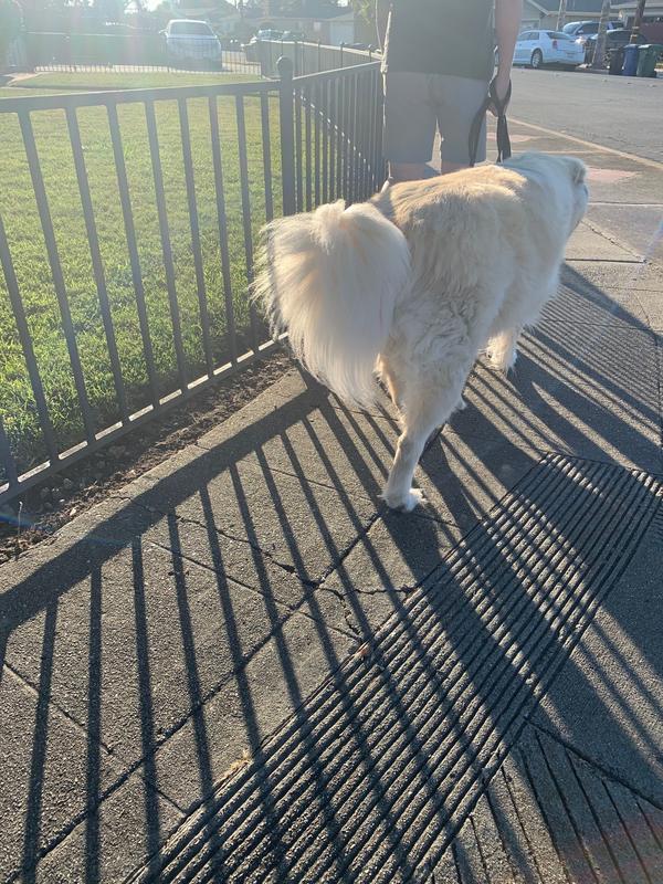 Easy clip on back legs