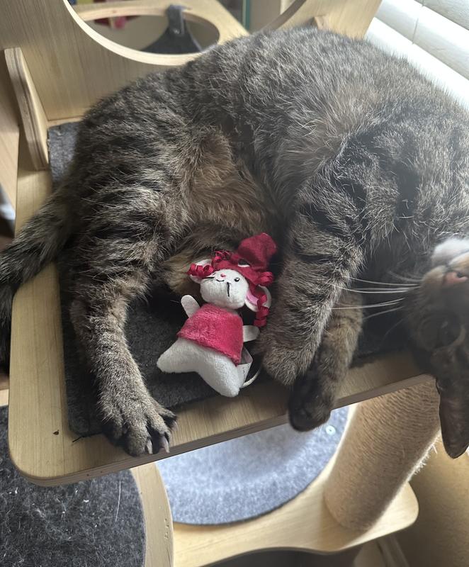My cat loves the mice and I love the adorable details.