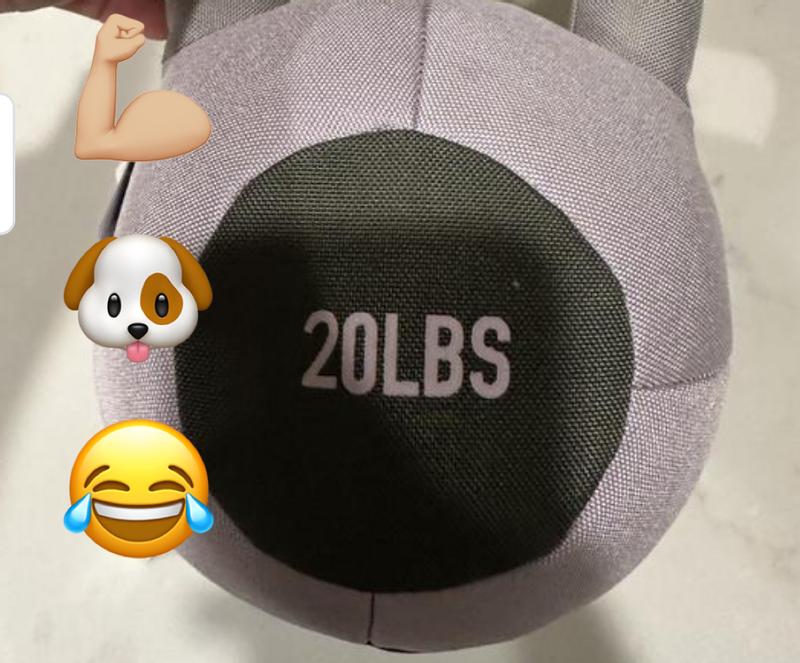 Reddy Purple Onthe Go Kettlebell Dog Toy, Medium Petco