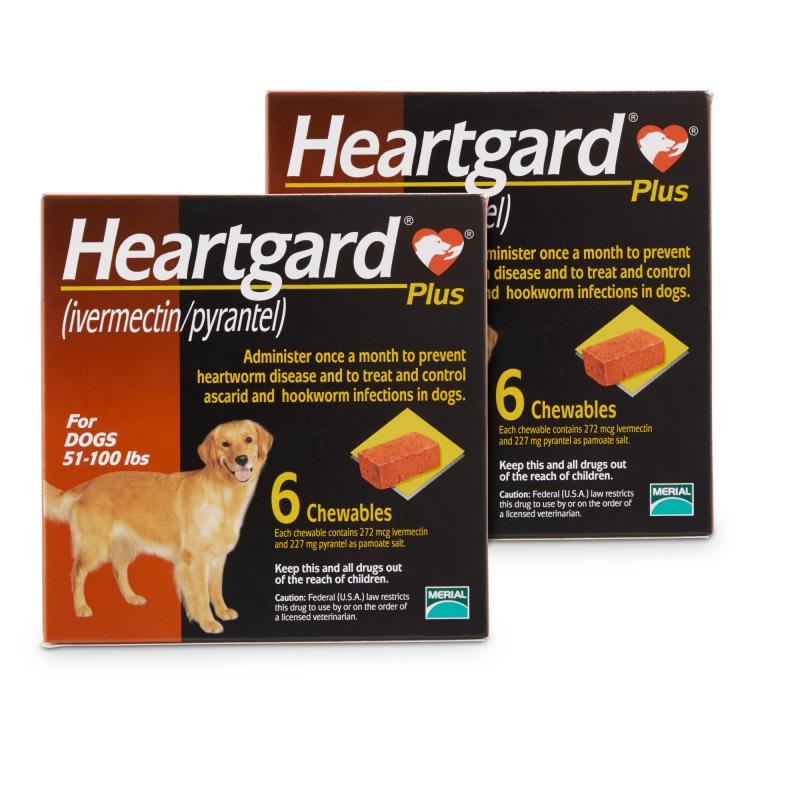 heartguard for large dogs