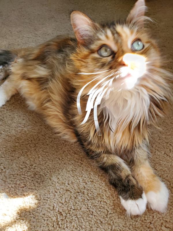 Princess Eglantine in the flesh.