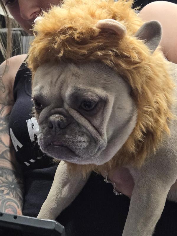 Bootique Lion s Mane Costume for Small Pets