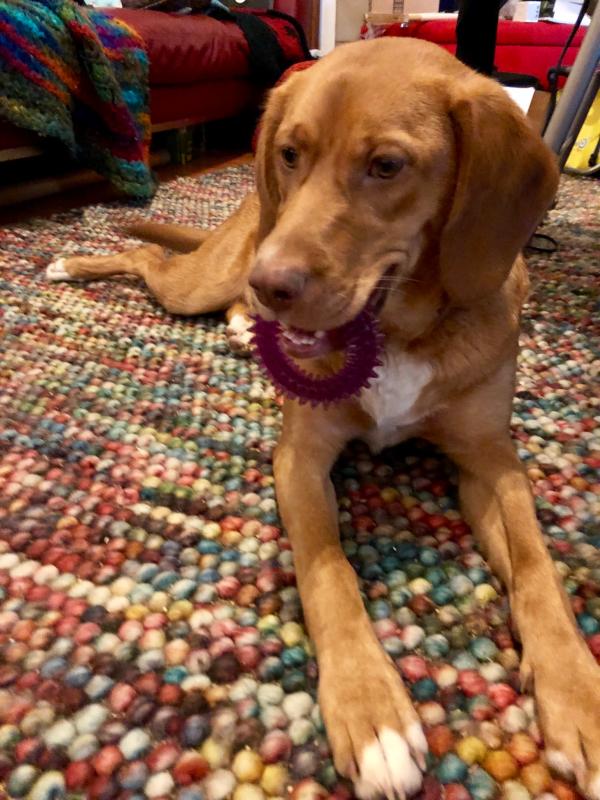 Perfect for teething