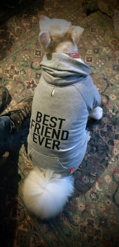 Best friend ever dog hoodie hotsell