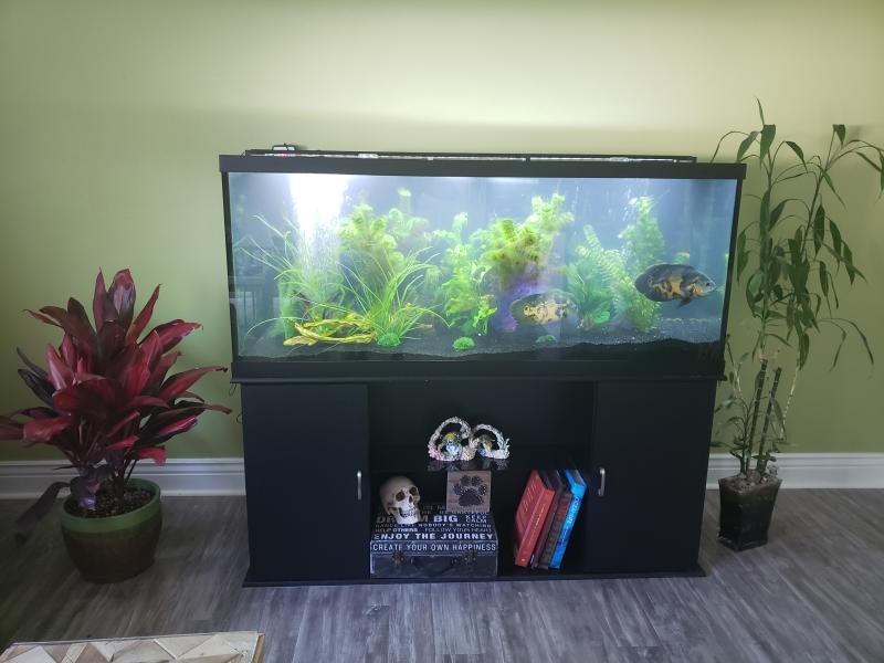 Fluval Aquasky LED Strip Light, 27 Watts | Petco