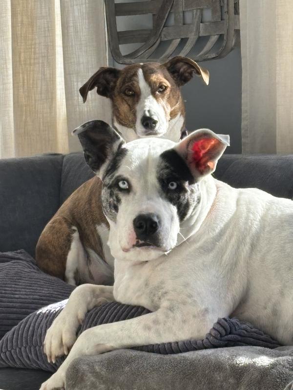 Best friends!