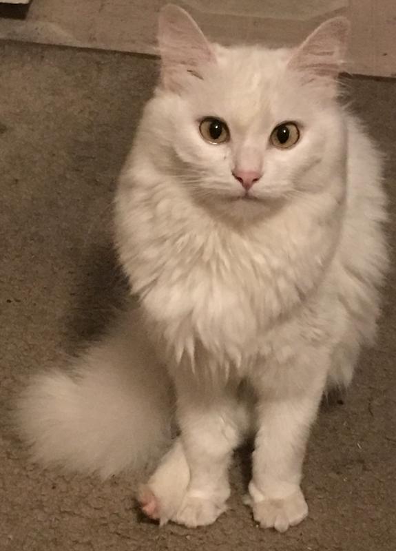 Scootch and her longer hair