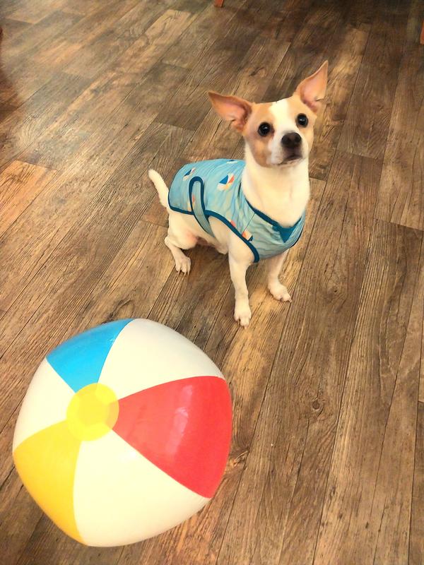 Ready for the beach!