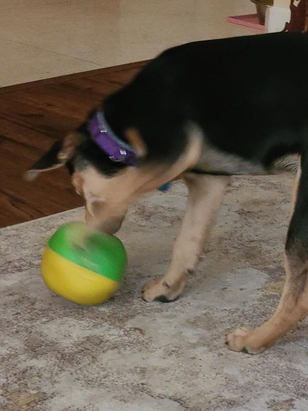 Starmark Bumper Body Puzzle Ball Dog Treat Dispenser