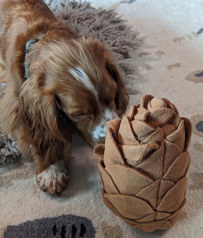 Treat Dispensing Dog Toy - Pine Cones