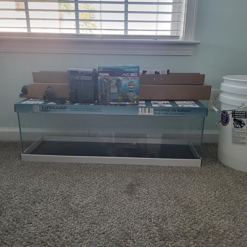 Aquarium looks good