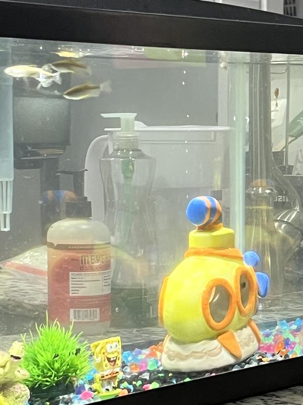 Bubbles