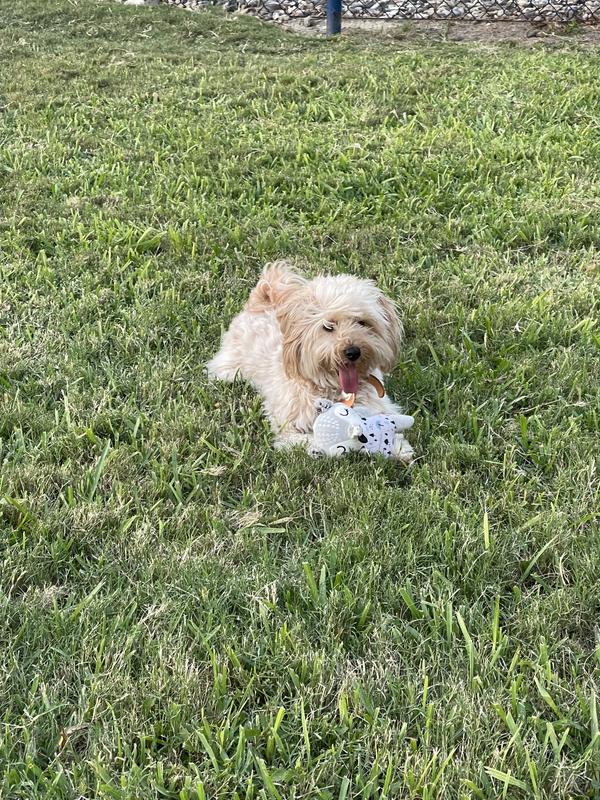 At play