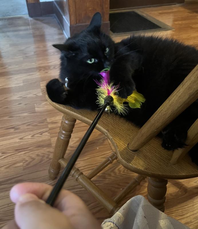 She got bored pretty quickly